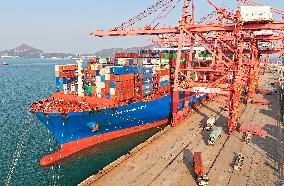 Lianyungang Port Container Trade