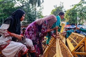 Protest March of Job-Seeking Disabled Graduates - Dhaka