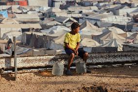 Meal and Water Distribution in Gaza