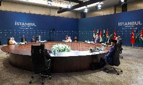 International Meeting On Gaza Ceasefire in Istanbul - Turkey