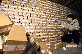 Double 11 Shopping Carnival in China