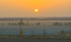 Cotton Harvest in Xinjiang