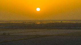 Cotton Harvest in Xinjiang
