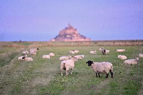 Mont-Saint-Michel and its bay in northwestern France. FC