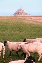 Mont-Saint-Michel and its bay in northwestern France. FC