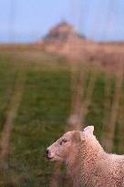 Mont-Saint-Michel and its bay in northwestern France. FC