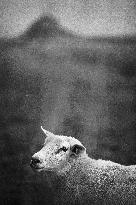 Mont-Saint-Michel and its bay in northwestern France. FC