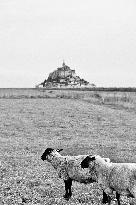 Mont-Saint-Michel and its bay in northwestern France. FC