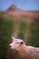 Mont-Saint-Michel and its bay in northwestern France. FC