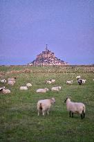 Mont-Saint-Michel and its bay in northwestern France. FC
