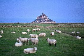 Mont-Saint-Michel and its bay in northwestern France. FC