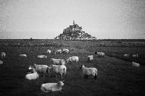 Mont-Saint-Michel and its bay in northwestern France. FC