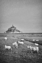 Mont-Saint-Michel and its bay in northwestern France. FC