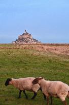 Mont-Saint-Michel and its bay in northwestern France. FC