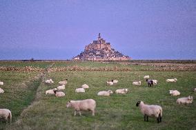 Mont-Saint-Michel and its bay in northwestern France. FC