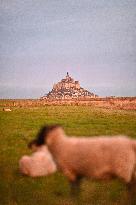 Mont-Saint-Michel and its bay in northwestern France. FC