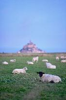 Mont-Saint-Michel and its bay in northwestern France. FC