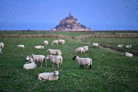 Mont-Saint-Michel and its bay in northwestern France. FC