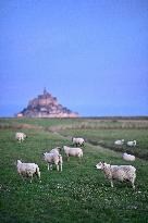 Mont-Saint-Michel and its bay in northwestern France. FC