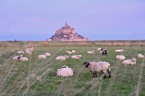 Mont-Saint-Michel and its bay in northwestern France. FC