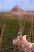 Mont-Saint-Michel and its bay in northwestern France. FC