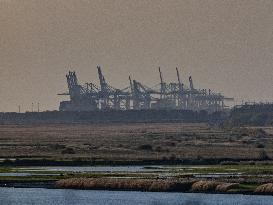 Illustration - Port du Havre