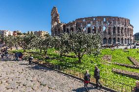 Illustration - Ancient Rome