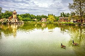 Illustration - Versailles