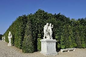 Illustration - Versailles