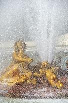 Illustration - Versailles