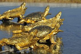 Illustration - Versailles