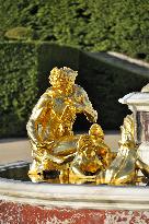 Illustration - Versailles