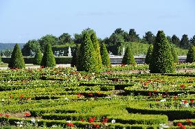 Illustration - Versailles