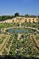 Illustration - Versailles