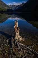 Dagu Glacier Scenic Area