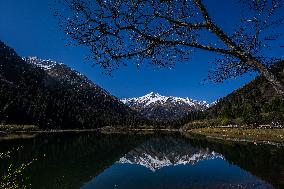 Dagu Glacier Scenic Area