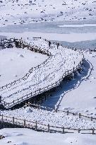 Dagu Glacier Scenic Area