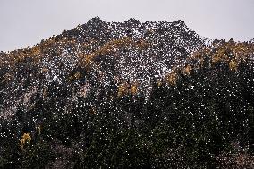 Dagu Glacier Scenic Area