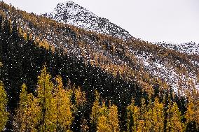 Dagu Glacier Scenic Area