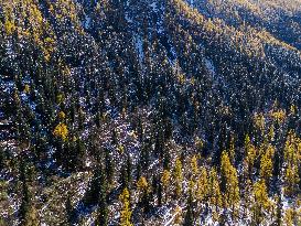Dagu Glacier Scenic Area