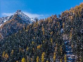 Dagu Glacier Scenic Area