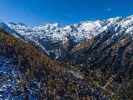 Dagu Glacier Scenic Area