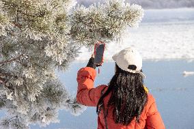 Extreme Weather Rime in the Daxing'anling region