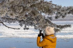 Extreme Weather Rime in the Daxing'anling region