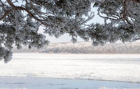 Extreme Weather Rime in the Daxing'anling region