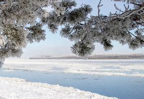 Extreme Weather Rime in the Daxing'anling region