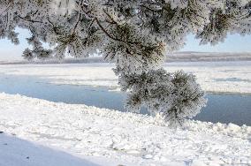 Extreme Weather Rime in the Daxing'anling region