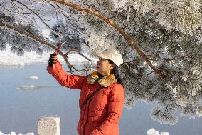 Extreme Weather Rime in the Daxing'anling region