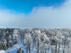 Extreme Weather Rime in the Daxing'anling region