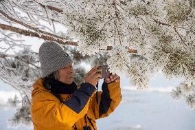Extreme Weather Rime in the Daxing'anling region